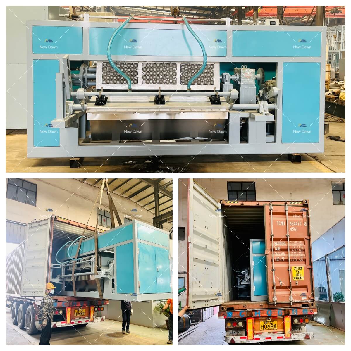 Apple Tray Making Machine Shipped to India