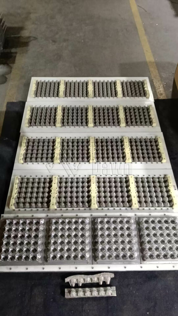 Egg Tray Mold 1